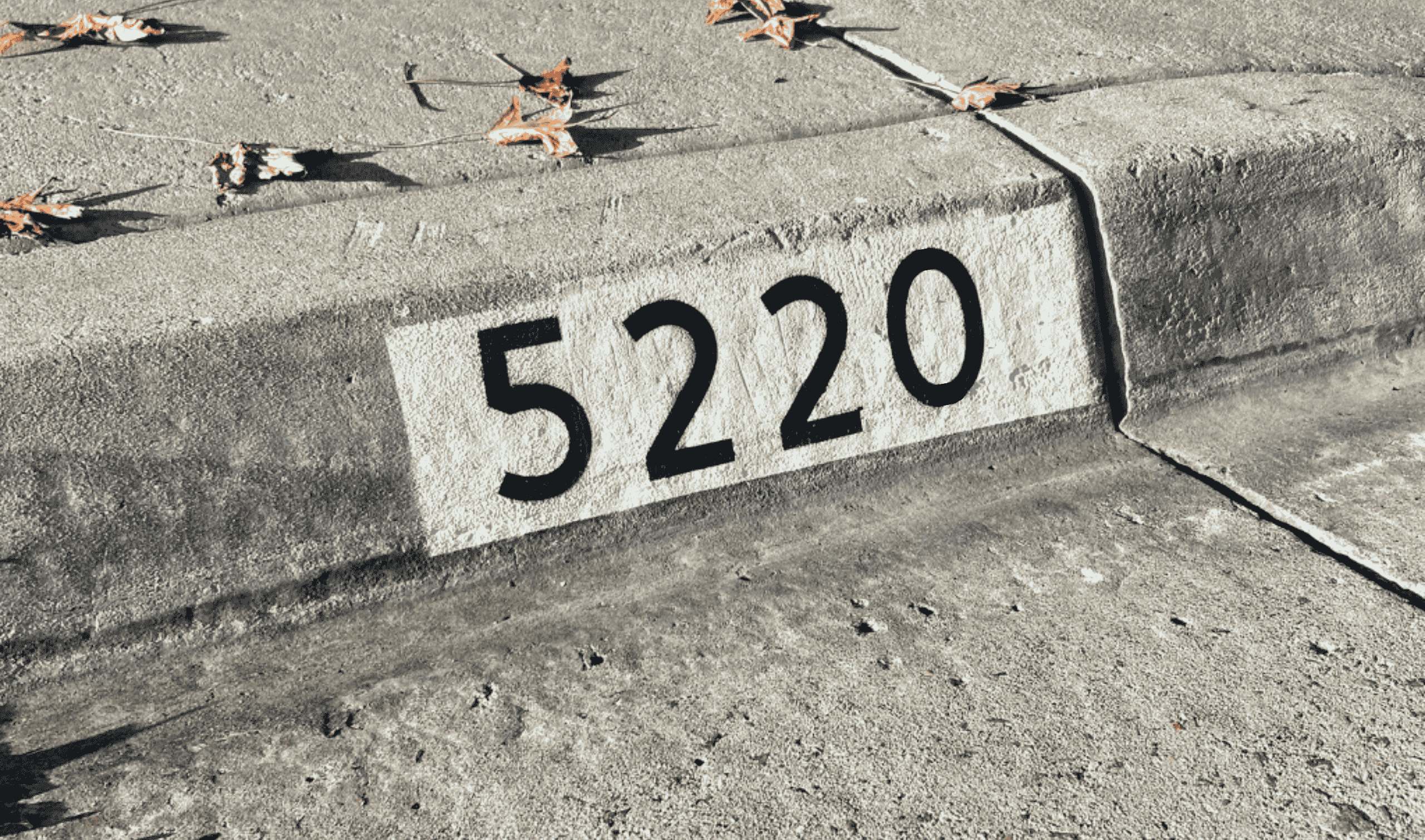Professional curb address numbers for houses in america